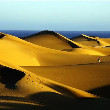 Ojo De Halcon By Casas Cocodrilo *