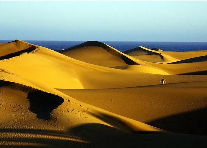 Ojo De Halcon By Casas Cocodrilo *