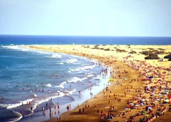 Ojo De Halcon By Casas Cocodrilo